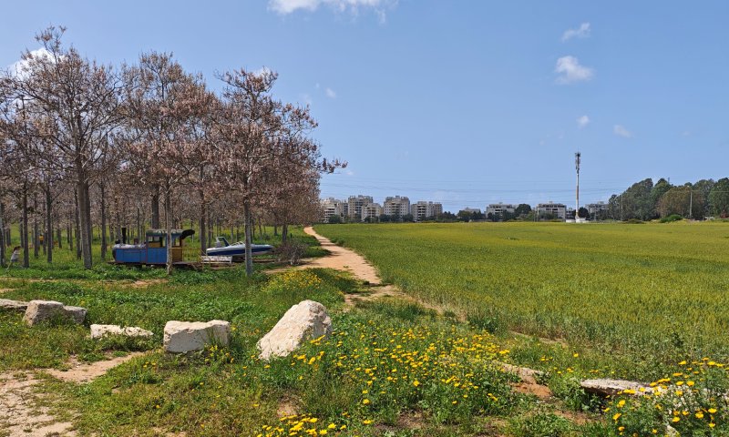 מבית יתומים ועד מפקדת אלנבי: טיול אביבי בנצר סירני