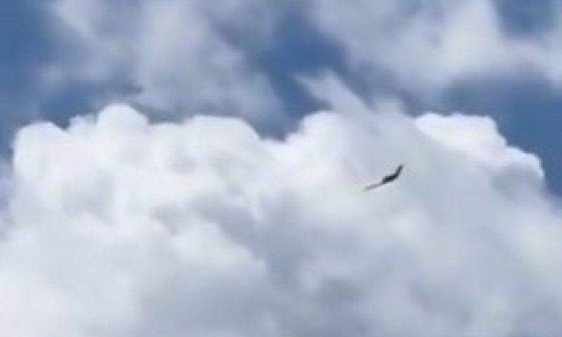 הכנף המעופפת: החמקן הסודי ביותר של צה"ל תועד מעל איראן