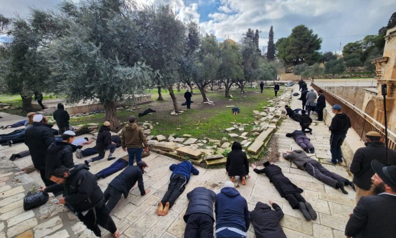 הרב אליהו חושף: זו הסיבה שערבים מפסיקים לעלות להר הבית