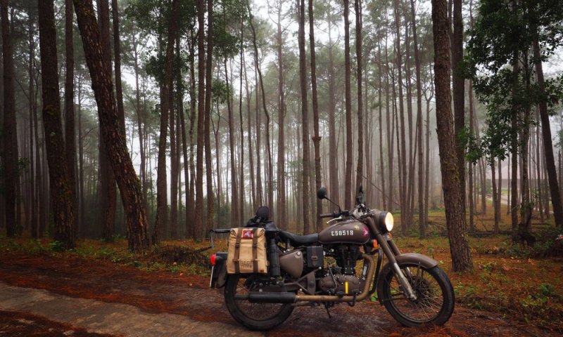 טרגדיה בתאילנד: ישראלי נהרג בתאונת אופנוע