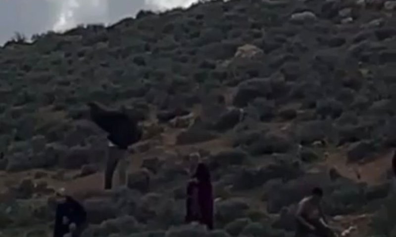 האלימות נגד רועי הצאן: שלושה פלסטינים נעצרו בבקעת הירדן