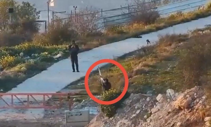 בעקבות התיעוד: נעצר פלסטיני שתלש דגל ישראל בגוש עציון