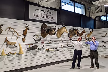 מוזיאון ביום: שאגת הארי