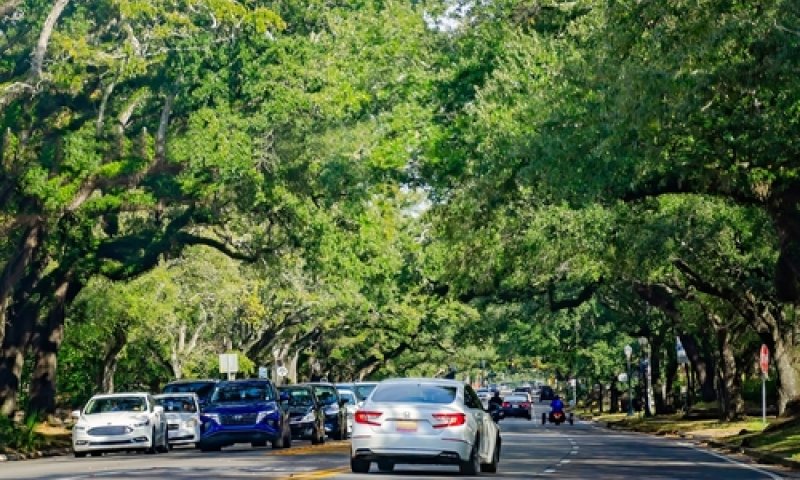 טרגדיה: עיתונאית ובעלה אותרו ללא רוח חיים