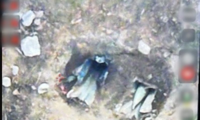 לאחר הירי למרכז הארץ: חיל האוויר תקף את המשגרים ברצועה