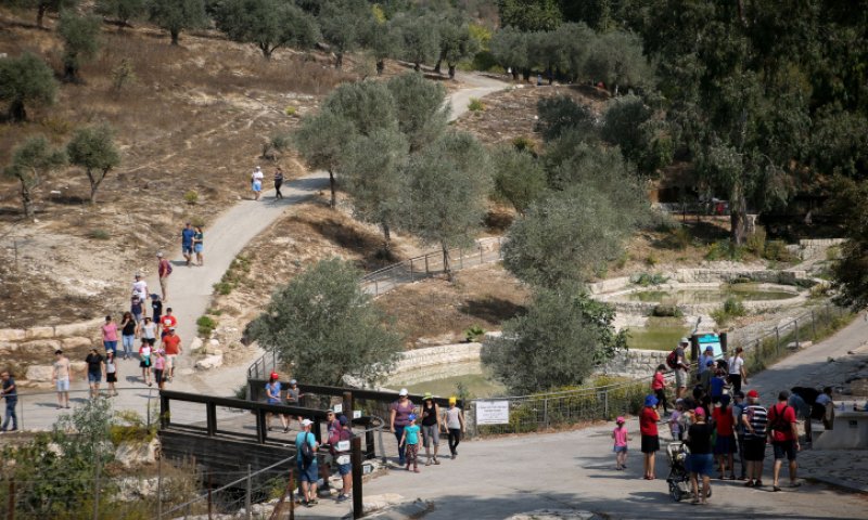 שיא חדש: כ-150 אלף מטיילים ברחבי הארץ