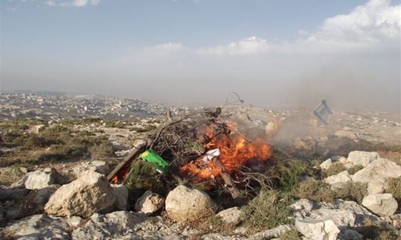 אם יהיו כאן בתים, אפרת תהפוך לעיר