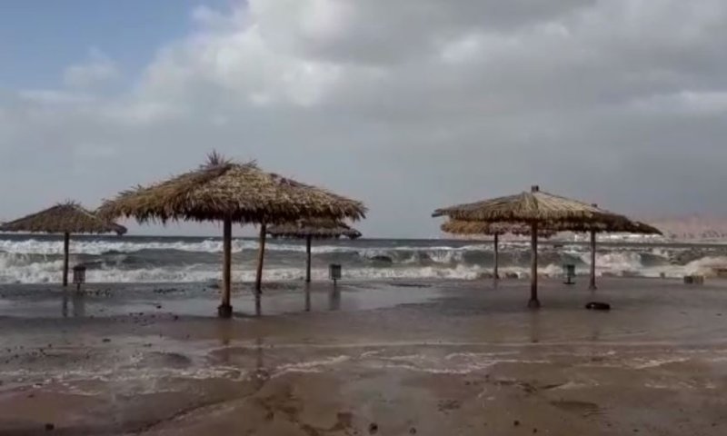 מטורף: חופי אילת הוצפו; העץ המפורסם קרס