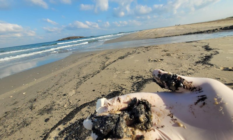 כמויות זפת אותרו במספר שמורות טבע במישור החוף הצפוני