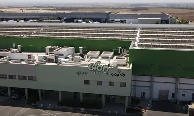 מהמפעל לצלחת: הסיפור של "ירקות הפרימיום" &bull; צפו