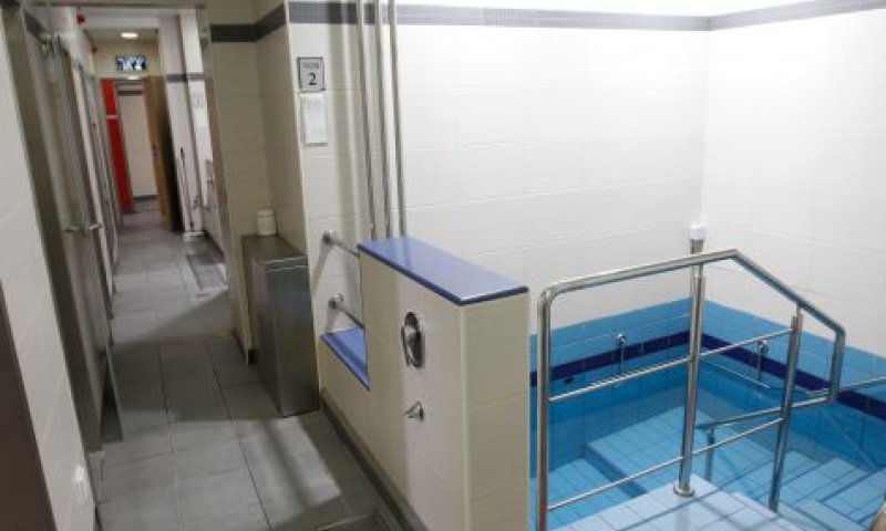 בלניות בשליחות אסתר / תגובה לרב דרור אריה