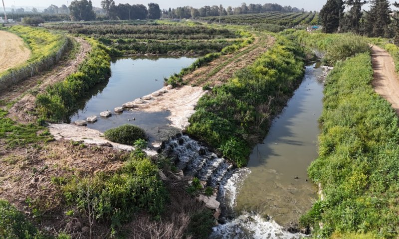 נבלם זיהום נחל אלכסנדר ממסיק הזיתים ברשות הפלסטינית