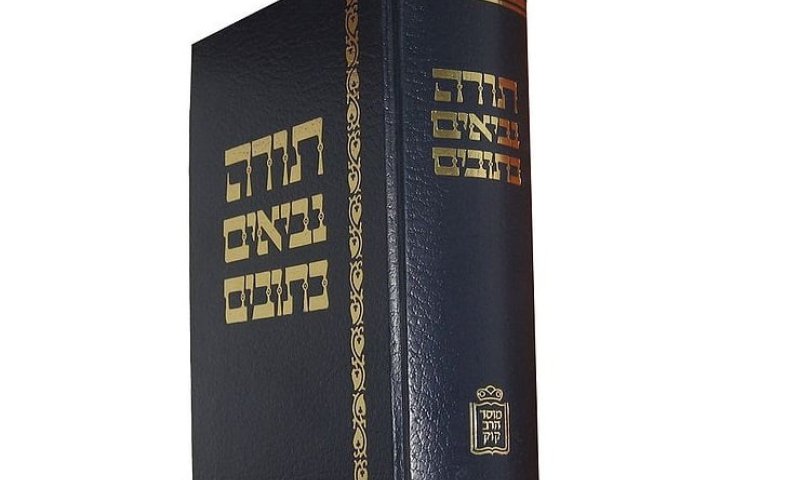 אני מתביישת: מעולם לא סיימתי לקרוא את כל התנ"ך