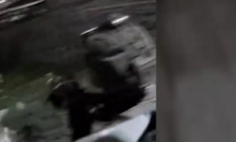 "מחבל נפל": תיעוד דרמטי ממצלמות המסתערבים