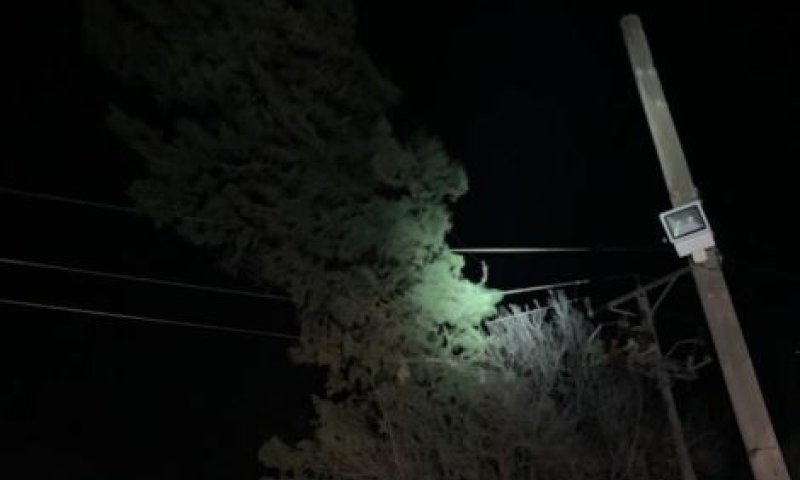 נזקי מזג האוויר: עצים קרסו על מכוניות; קווי מתח נקרעו