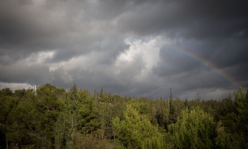 למרות האפרוריות לחודש חשוון יש מה למכור