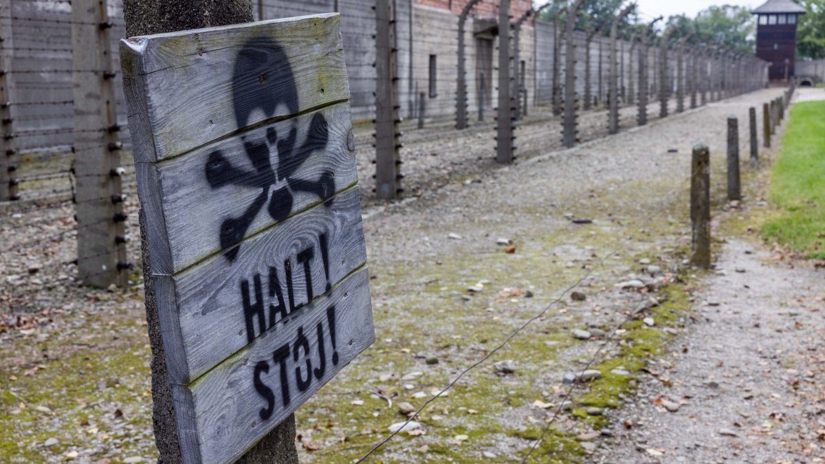 שואה נוספת עוד תהיה? - סרוגים