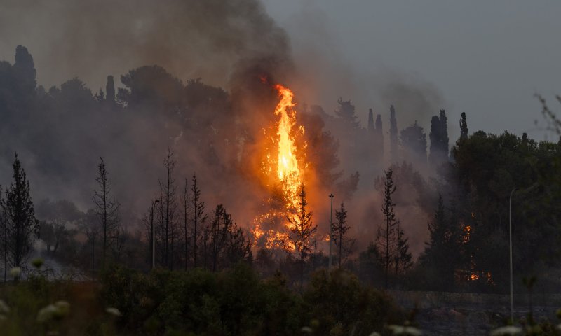 גל השריפות: קק״ל הודיעה על סגירת שמורות הטבע ביום העצמאות