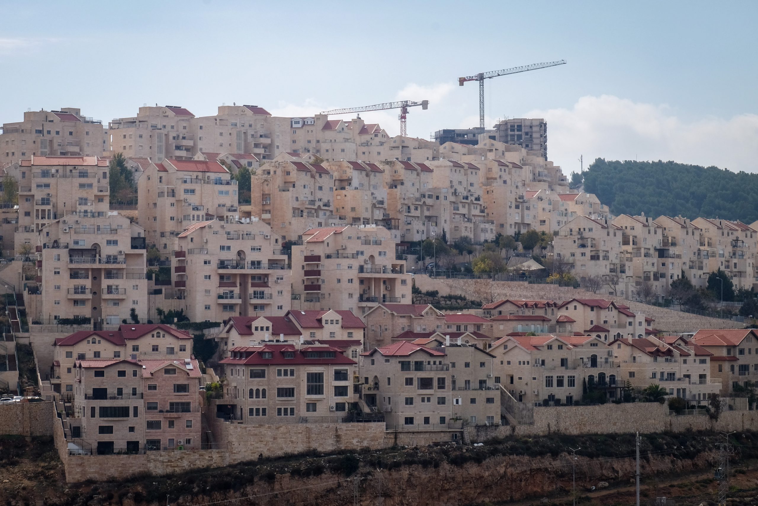אפרת | צילום: גרשון אלינסון/ פלאש 90