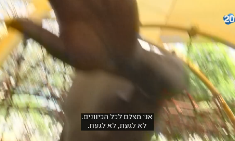 צפו: צלם ערוץ 20 הותקף באלימות על ידי מסתננים