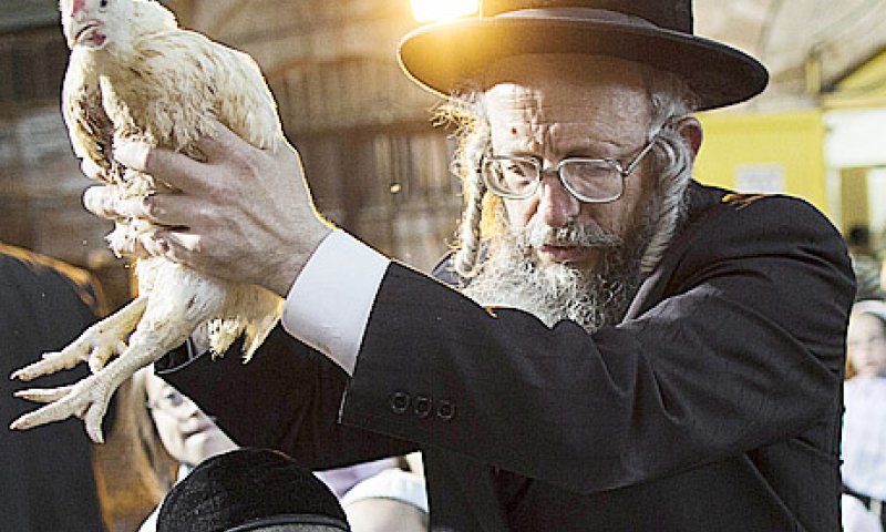 זה התרנגול ילך למיתה: צפו בכפרות בירושלים