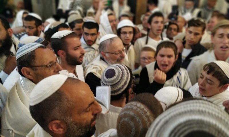 בשירה וריקודים: אלפים בתפילת הלל במערת המכפלה