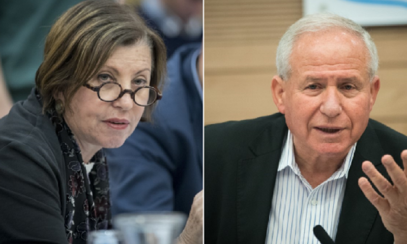 'לא נעים לראות אותך כך': עימות בין גלאון לדיכטר