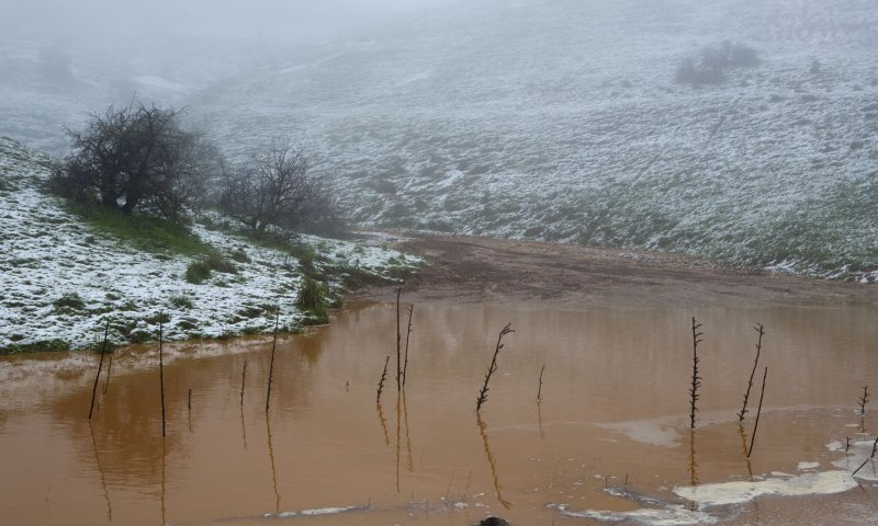 צפו: הזרימות החזקות בשלוש השנים האחרונות