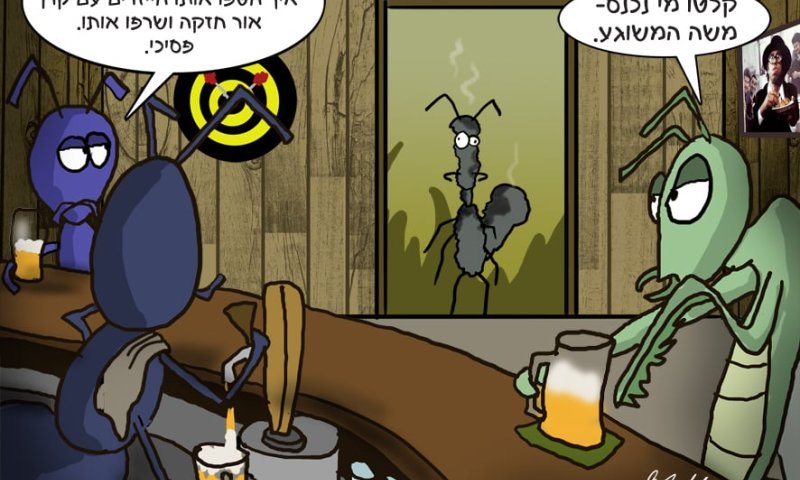 הקריקטורה היומית של אור רייכרט: המשוגע שנכנס לבר