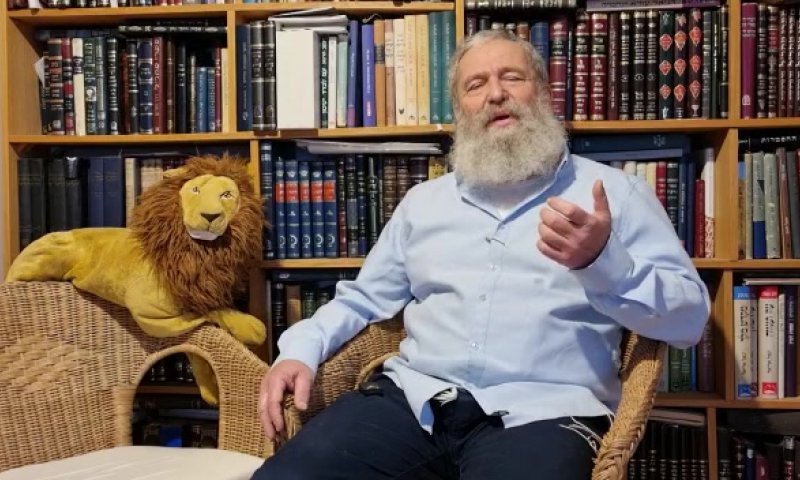 צפו: על מה צריך לשים לב כשבוחרים חטיבת ביניים?