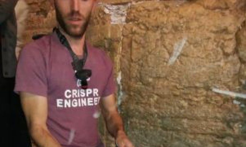 צפו: אורח לא צפוי בעזרת הנשים בכותל המערבי