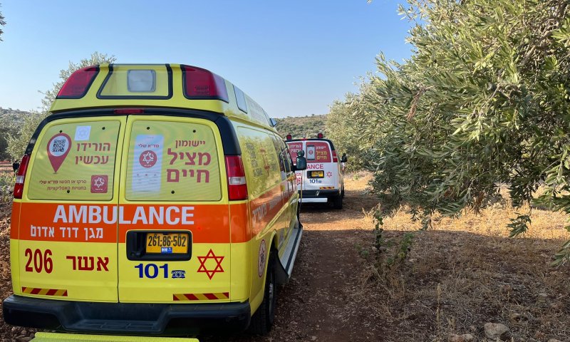 רצח כפול באבו סנאן: שני גברים נורו למוות ברכב