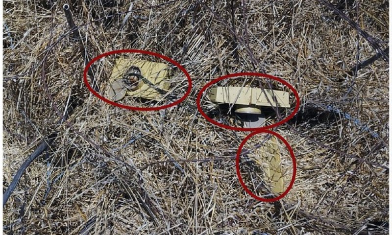 דיווח בסוריה: 10 הרוגים מתקיפות צה"ל