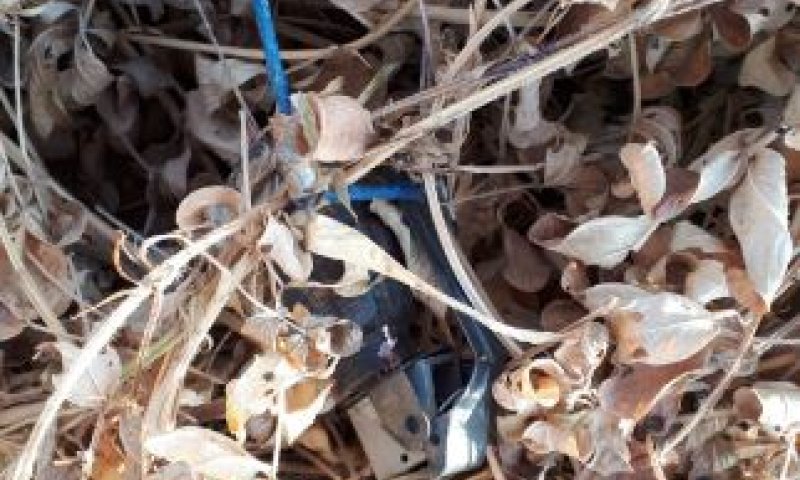 תיעוד: רימון מחובר לבלון אותר בעוטף עזה