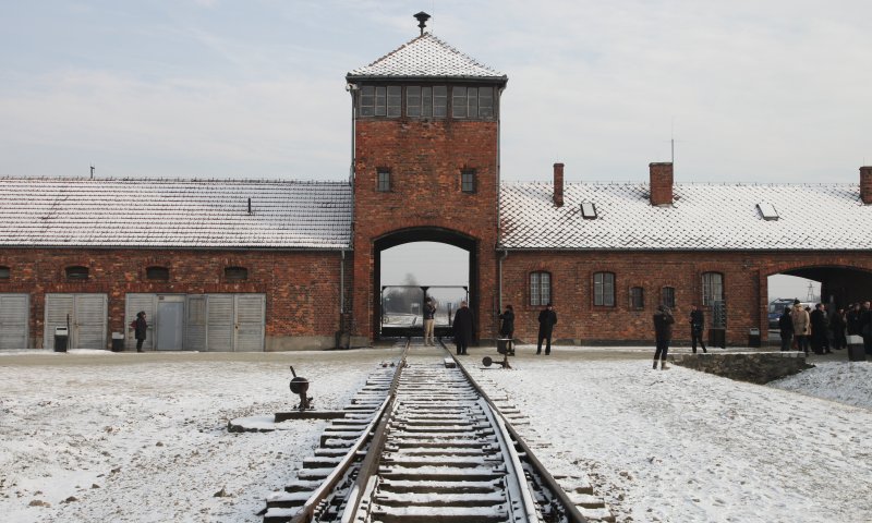 אמרו פרק תהילים לזכר 6 מיליון קדושי השואה