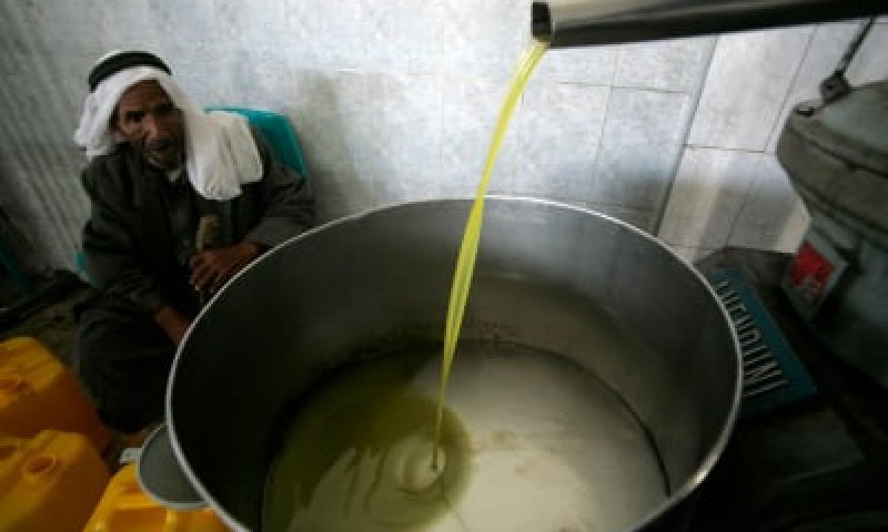 ערב חנוכה &ndash; איך מזהים שמן מזוייף?