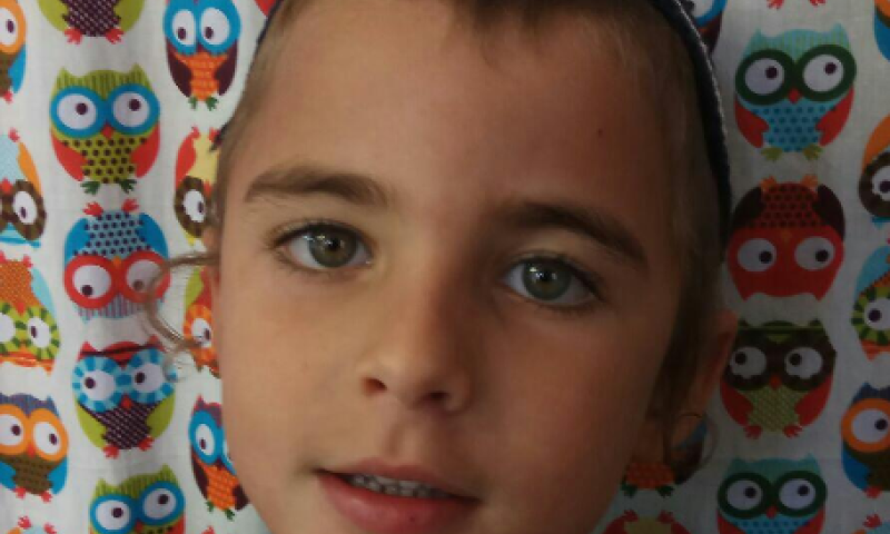 הילד שנהרג במעלה חבר: עמנואל צביאל ז"ל