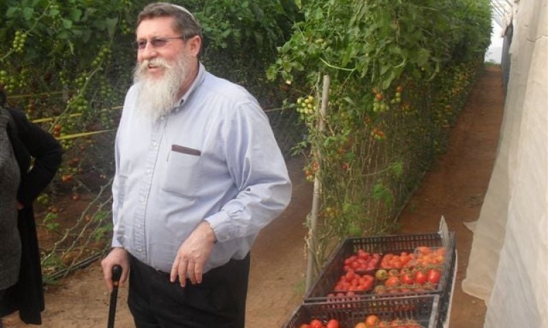 כצל'ה דווקא בעד השארת העובדים הזרים בערבה