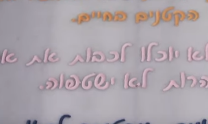 הטבח ברעים: מה עומד מאחורי הכיתוב הצבעוני על המצבות?