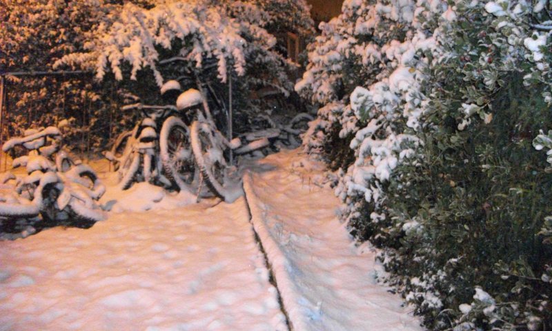 יומן בחירות: המערכת בשיאה, הבחירות קפאו