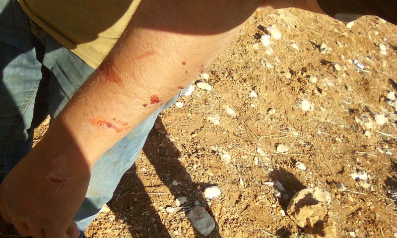 פורעים ערבים תקפו רועי צאן בבנימין, צה"ל עצר את היהודים