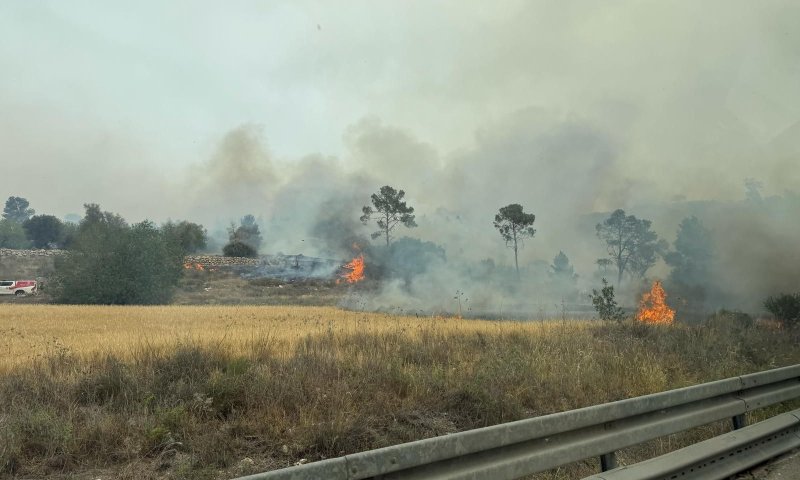 השריפות בשפלה מתפשטות: המשטרה החלה בפינוי יישובים