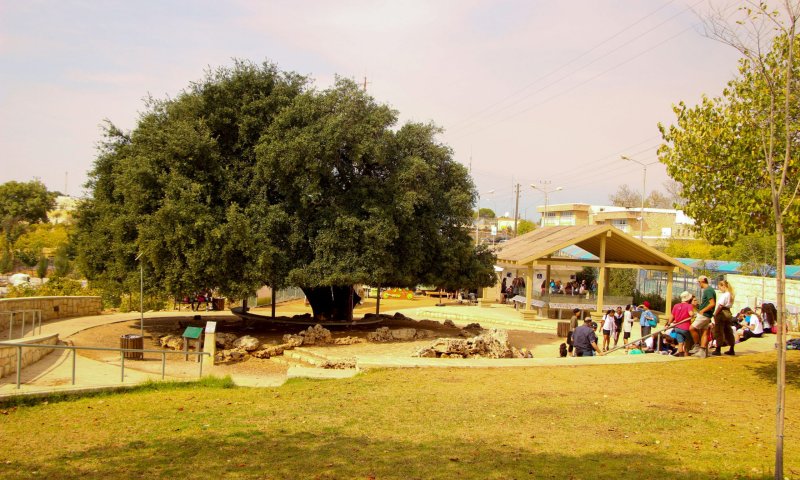 כ-20,000 מטיילים עד כה הגיעו לגוש עציון