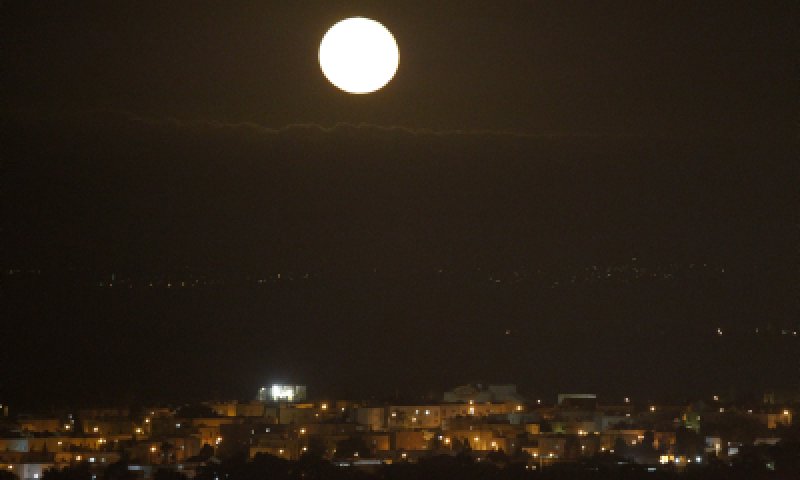 מחזה של פעם בחיים: את התופעה הזו אסור לפספס