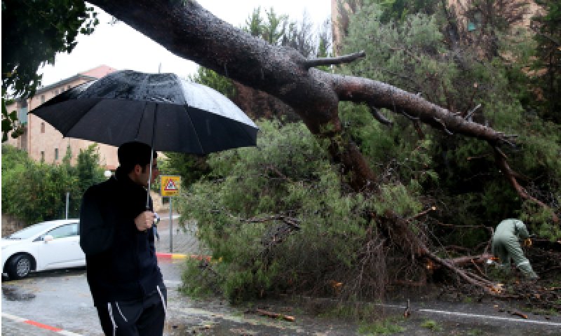 לקראת הסופה והשלג: הרשויות מתכוננות לסערה