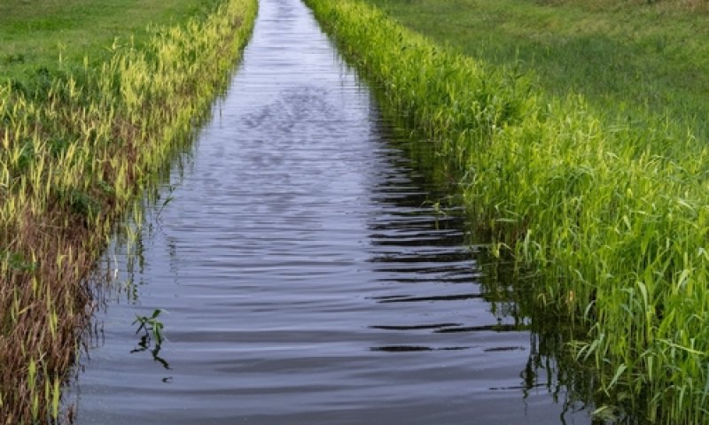 היעדרות הילדים בתעלה: האירוע הגיע לסיומו
