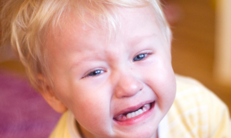 30 ילדי מעון אמונה נדבקו בסלמונלה, 2 פונו לביה"ח