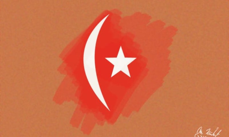 הקריקטורה היומית של אור רייכרט: הרפורמות הדתיות עוברות את משאל העם בטורקיה