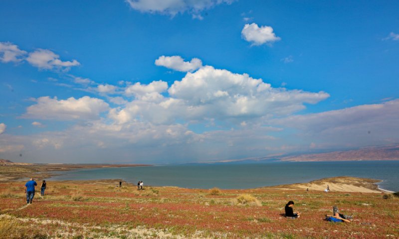 עלייה בטמפרטורות, רוחות וגשם: תחזית מזג האוויר
