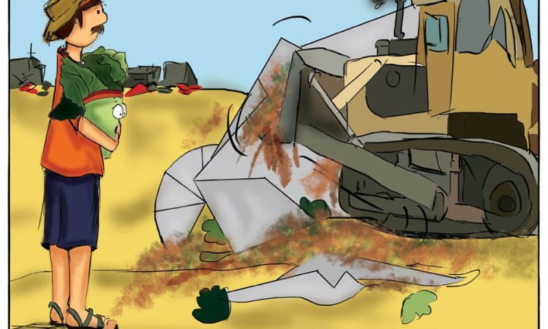 גוש קטיף לילדים: סיפורו של הגוש מנקודת מבטה של חסה